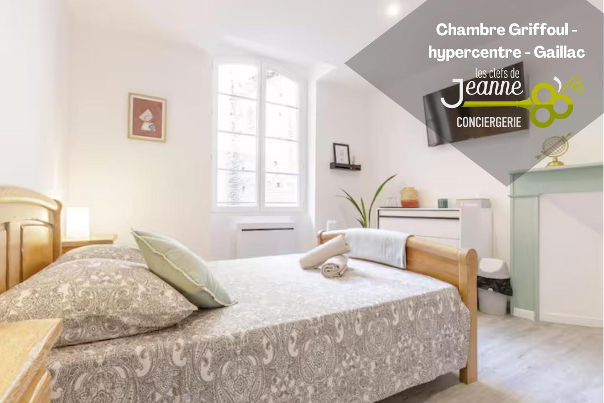 Chambre Griffoul - Hypercentre - Gaillac Zewnętrze zdjęcie